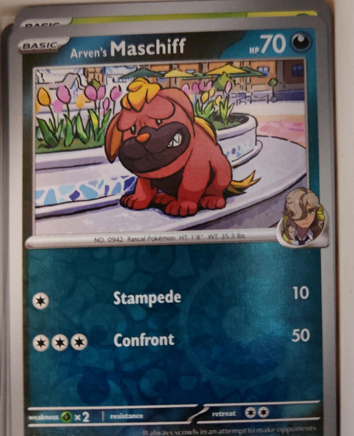 Arven's Maschiff - 138/182 - Reverse Holo - DESTINED RIVALS - Pokemon - | AA20-18