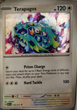 Terapagos - 178/217 - Holo - ASCENDED HEROES - Pokemon - Rare | AA30-17