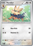 Herdier - 171/197 - - OBSIDIAN FLAMES - Pokemon - Common | AA05-55