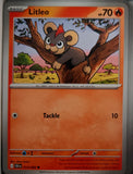 Litleo - 014/086 - - CHAOS RISING - Pokemon - Common | AA47-15