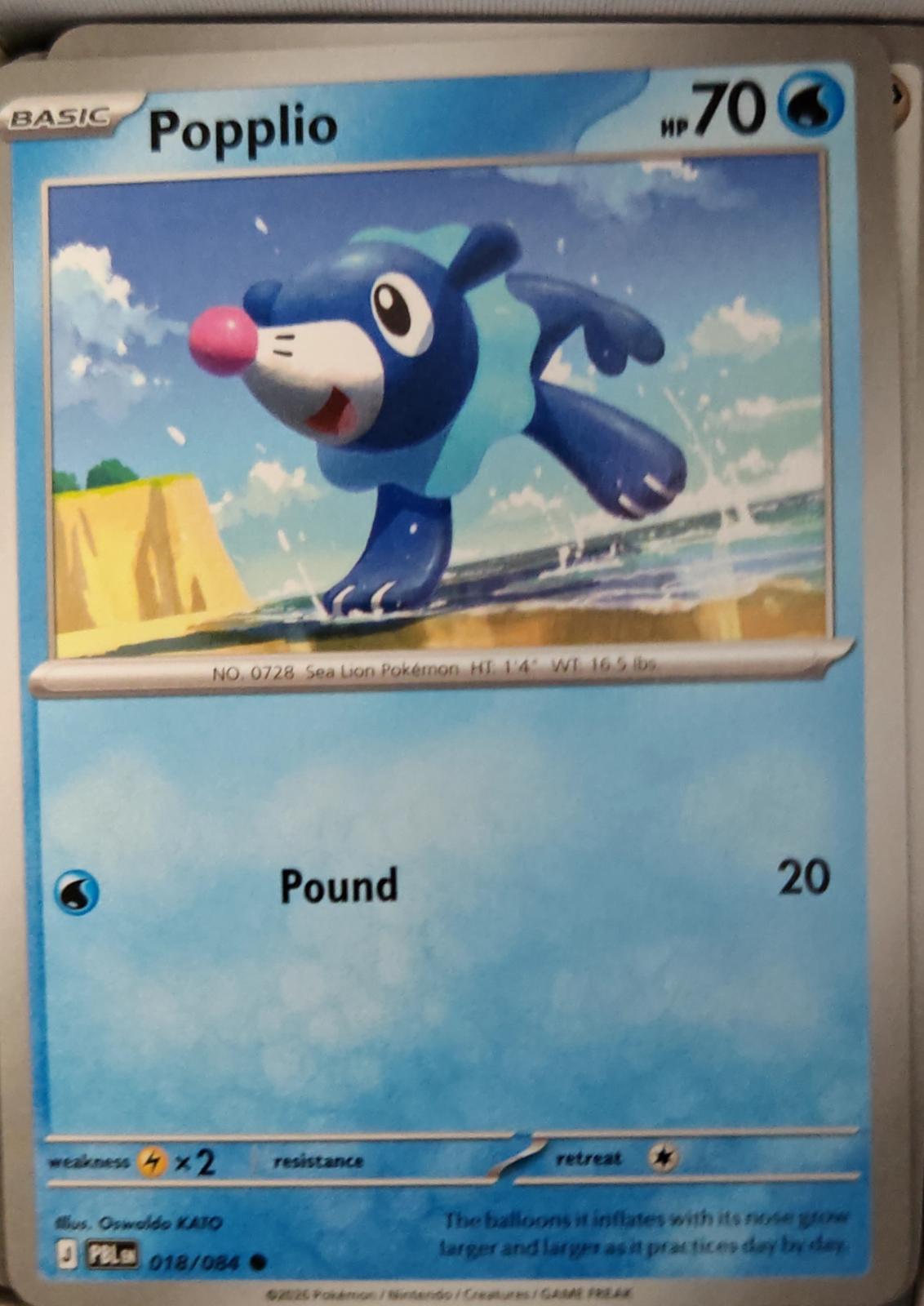 Popplio - 018/084 - - PITCH BLACK - Pokemon - Common | AA38-42