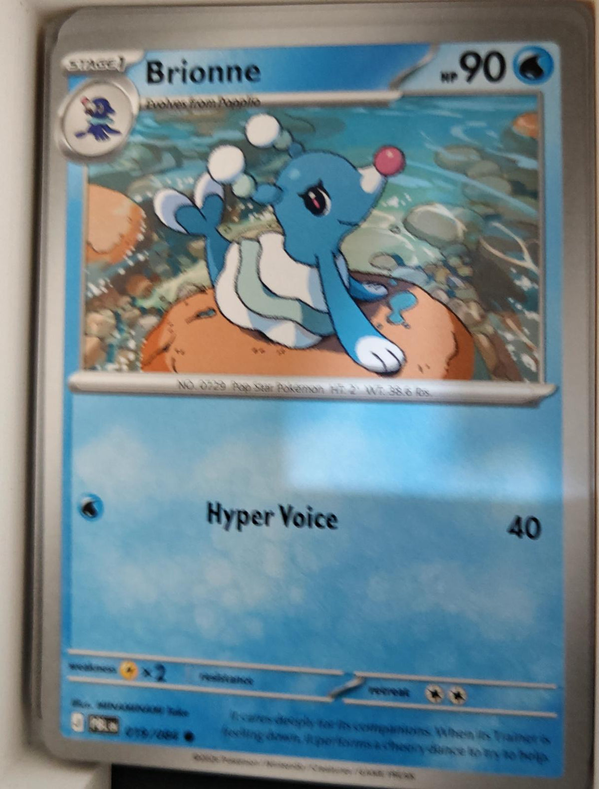 Brionne - 019/084 - - PITCH BLACK - Pokemon - Common | AA18-26