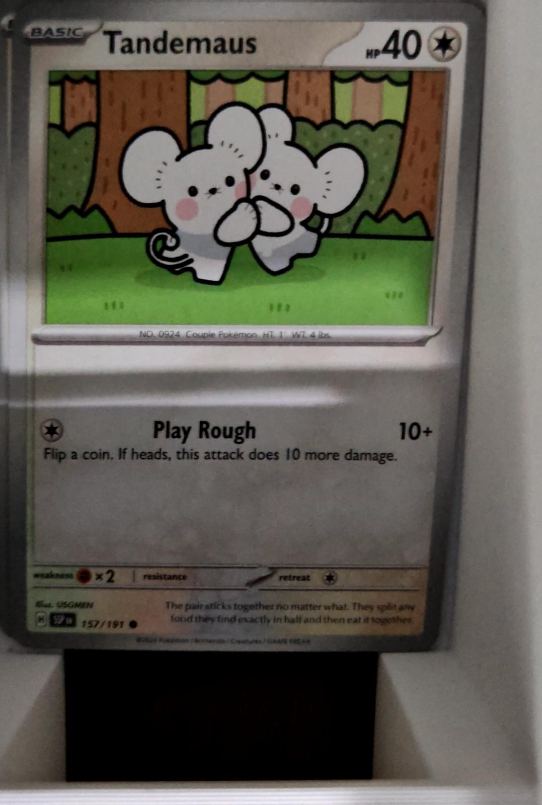 Tandemaus - 157/191 - - SURGING SPARKS - Pokemon - Common | AA51-4