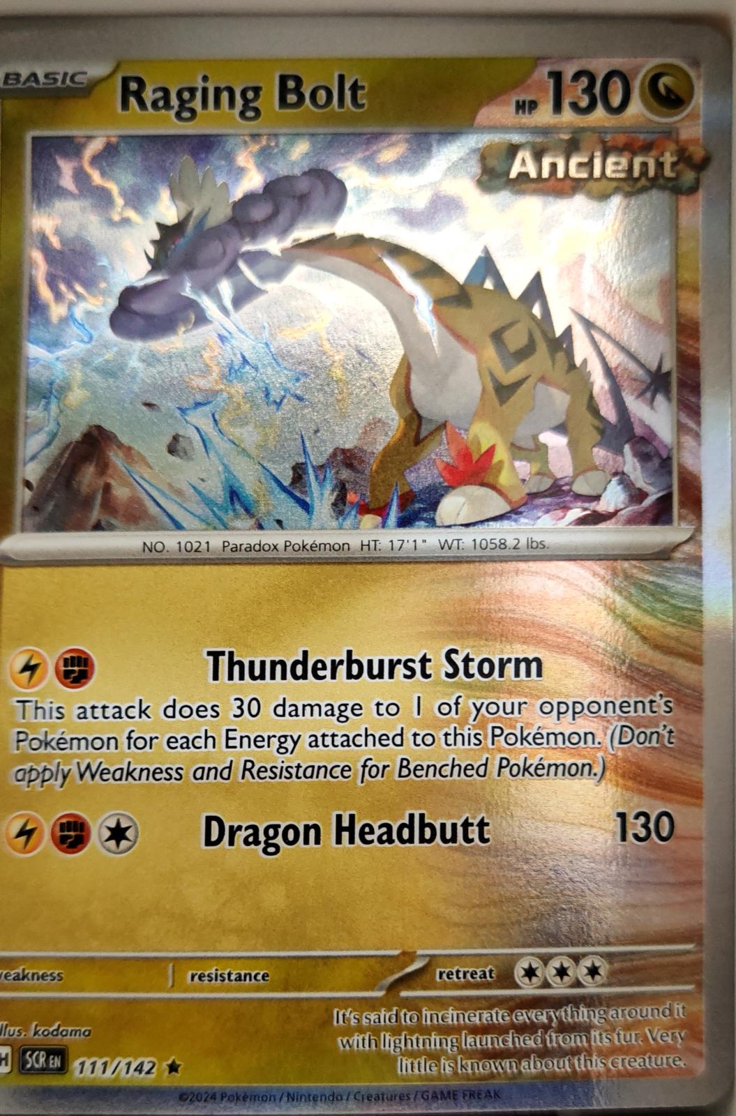Raging Bolt - 111/142 - Holo - STELLAR CROWN - Pokemon - Rare | AA06-63