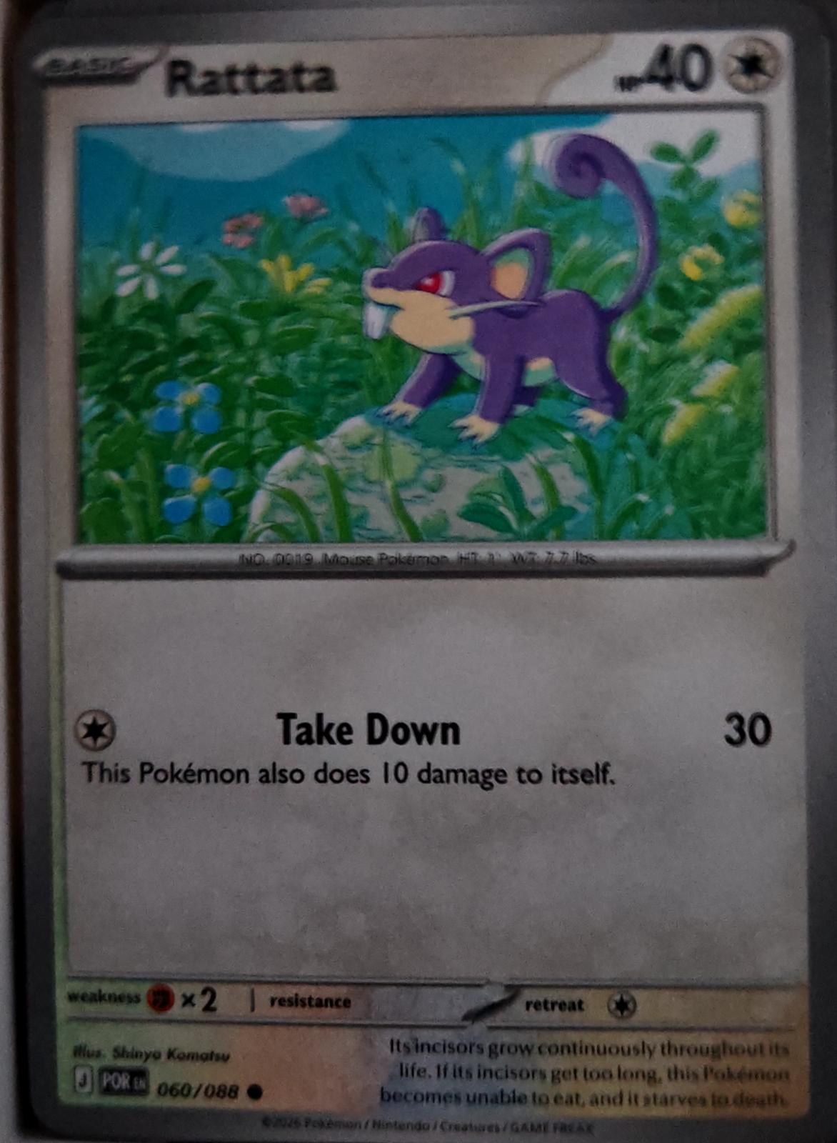 Rattata - 060/088 - - PERFECT ORDER - Pokemon - Common | AA64-30