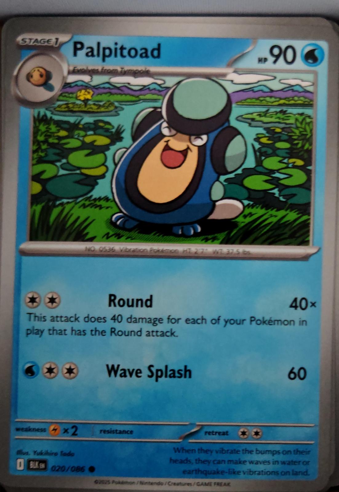 Palpitoad - 020/086 - - BLACK BOLT - Pokemon - Common | AA47-62