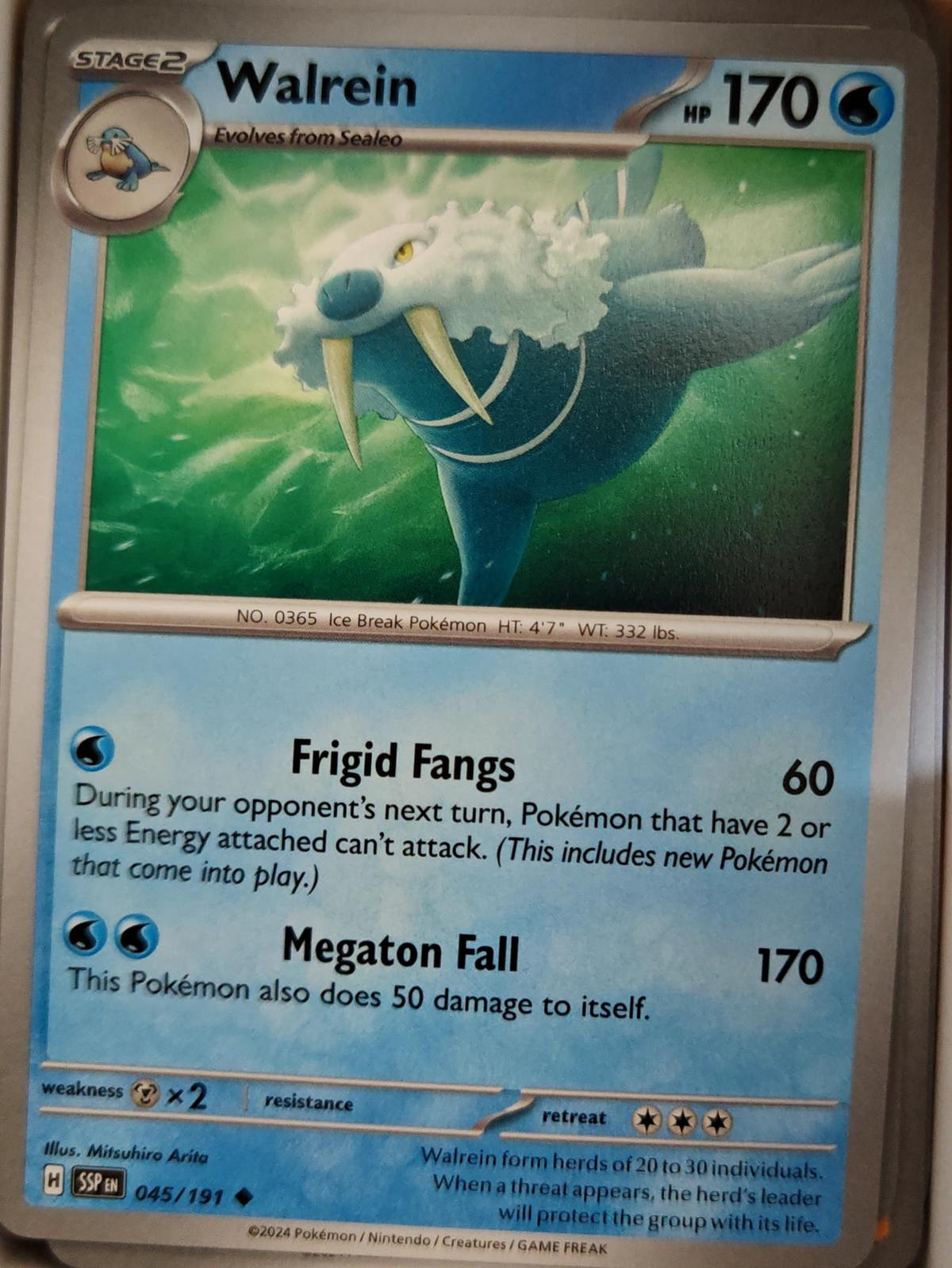 Walrein - 045/191 - - SURGING SPARKS - Pokemon - Uncommon | AA09-47