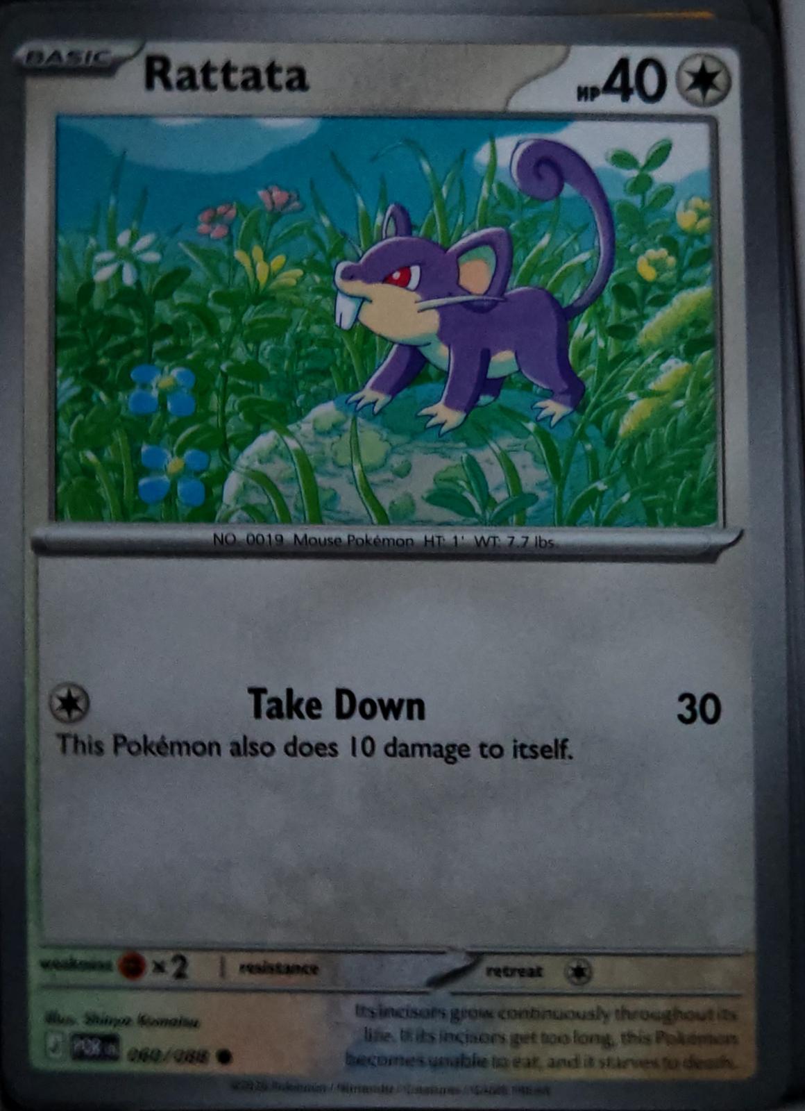 Rattata - 060/088 - - PERFECT ORDER - Pokemon - Common | AA64-19