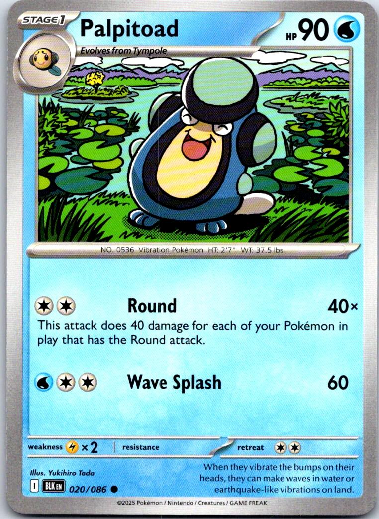 Palpitoad - 020/086 - - BLACK BOLT - Pokemon - Common | AA112-40