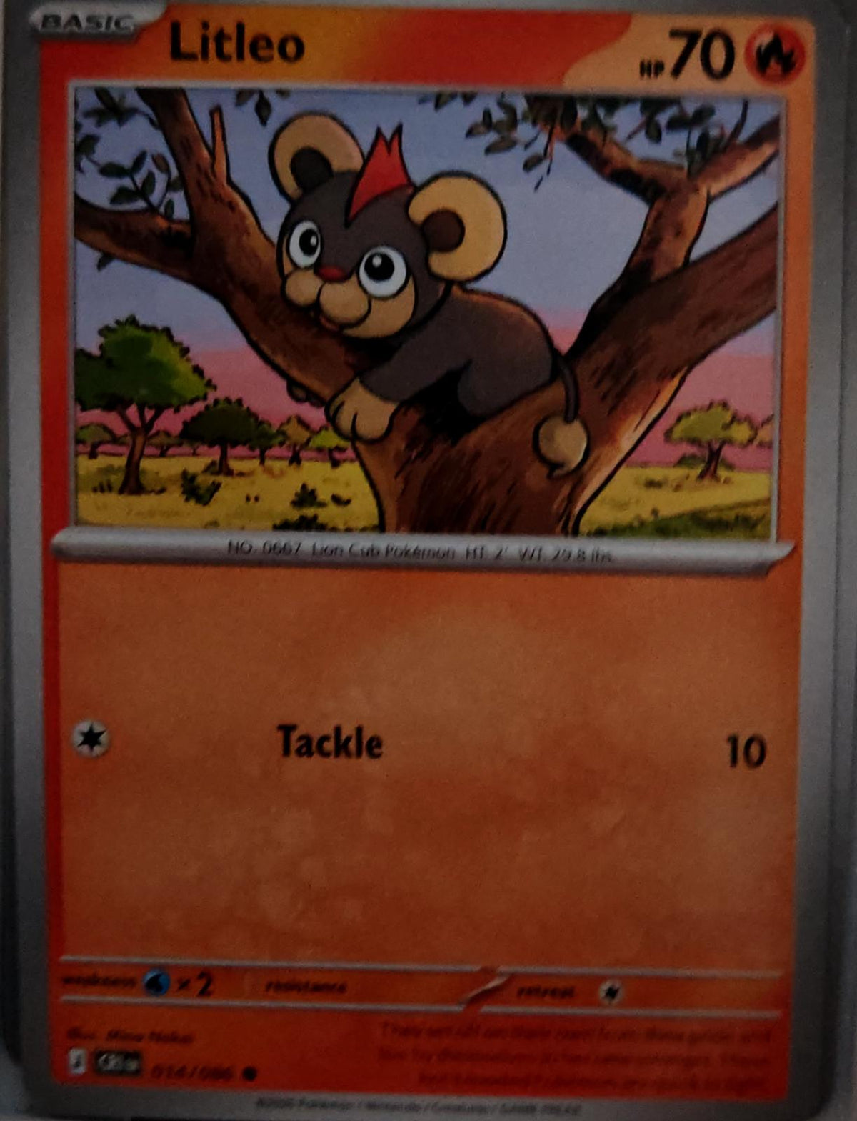 Litleo - 014/086 - - CHAOS RISING - Pokemon - Common | AA64-5