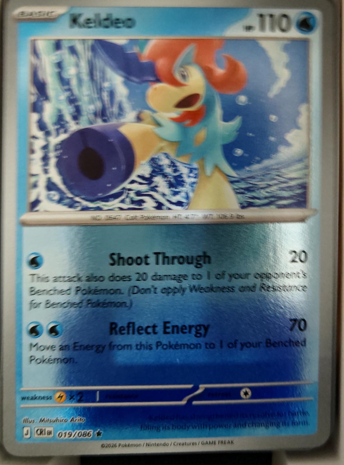 Keldeo - 019/086 - Reverse Holo - CHAOS RISING - Pokemon - Rare | AA18-83