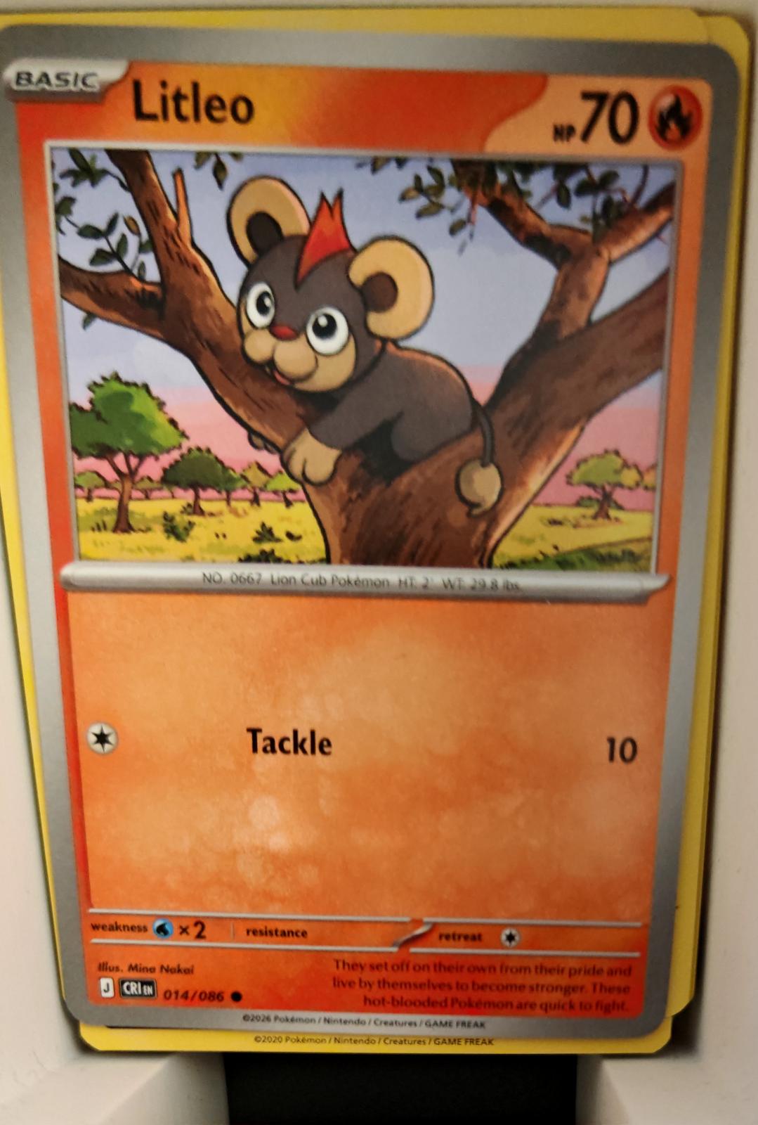 Litleo - 014/086 - - CHAOS RISING - Pokemon - Common | AA21-81