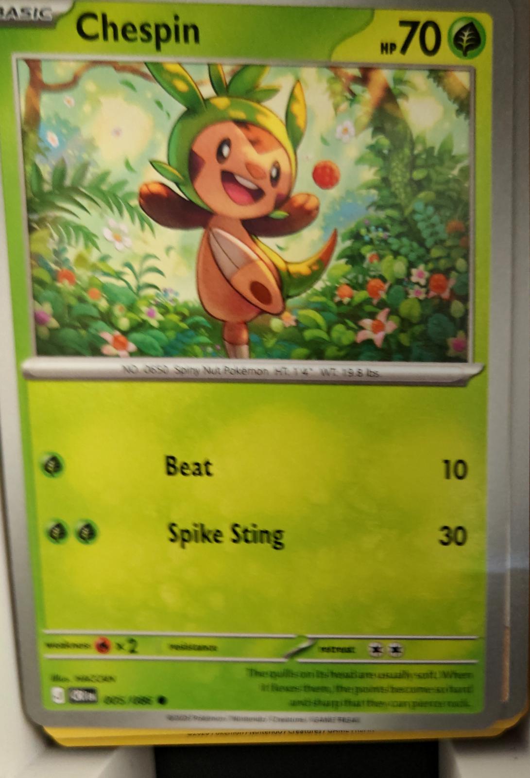 Chespin - 005/086 - - CHAOS RISING - Pokemon - Common | AA22-73