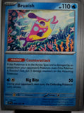 Bruxish - 049/191 - - SURGING SPARKS - Pokemon - Uncommon | AA48-13