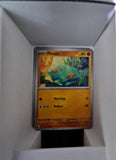 Phanpy - 044/086 - - CHAOS RISING - Pokemon - Common | AA53-2