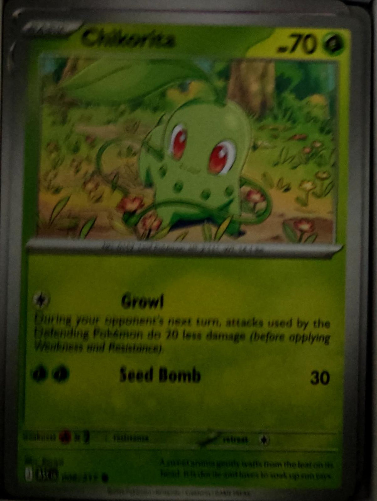 Chikorita - 008/217 - - ASCENDED HEROES - Pokemon - Common | AA50-18