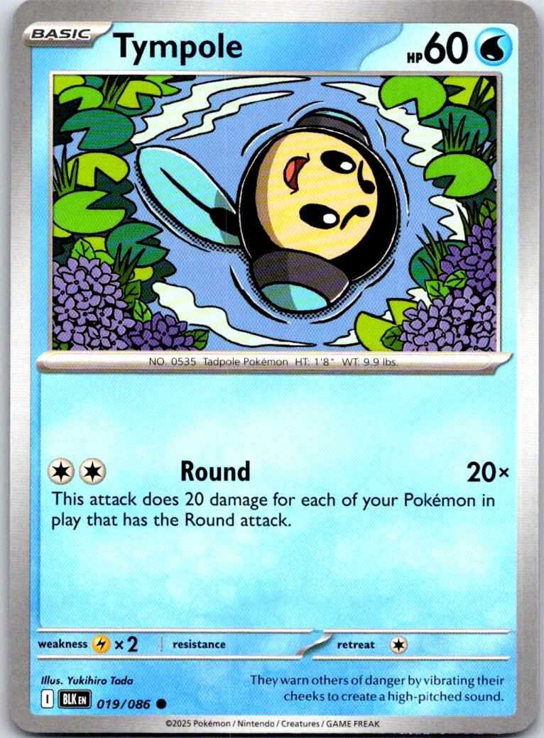 Tympole - 019/086 - - BLACK BOLT - Pokemon - Common | AA112-34