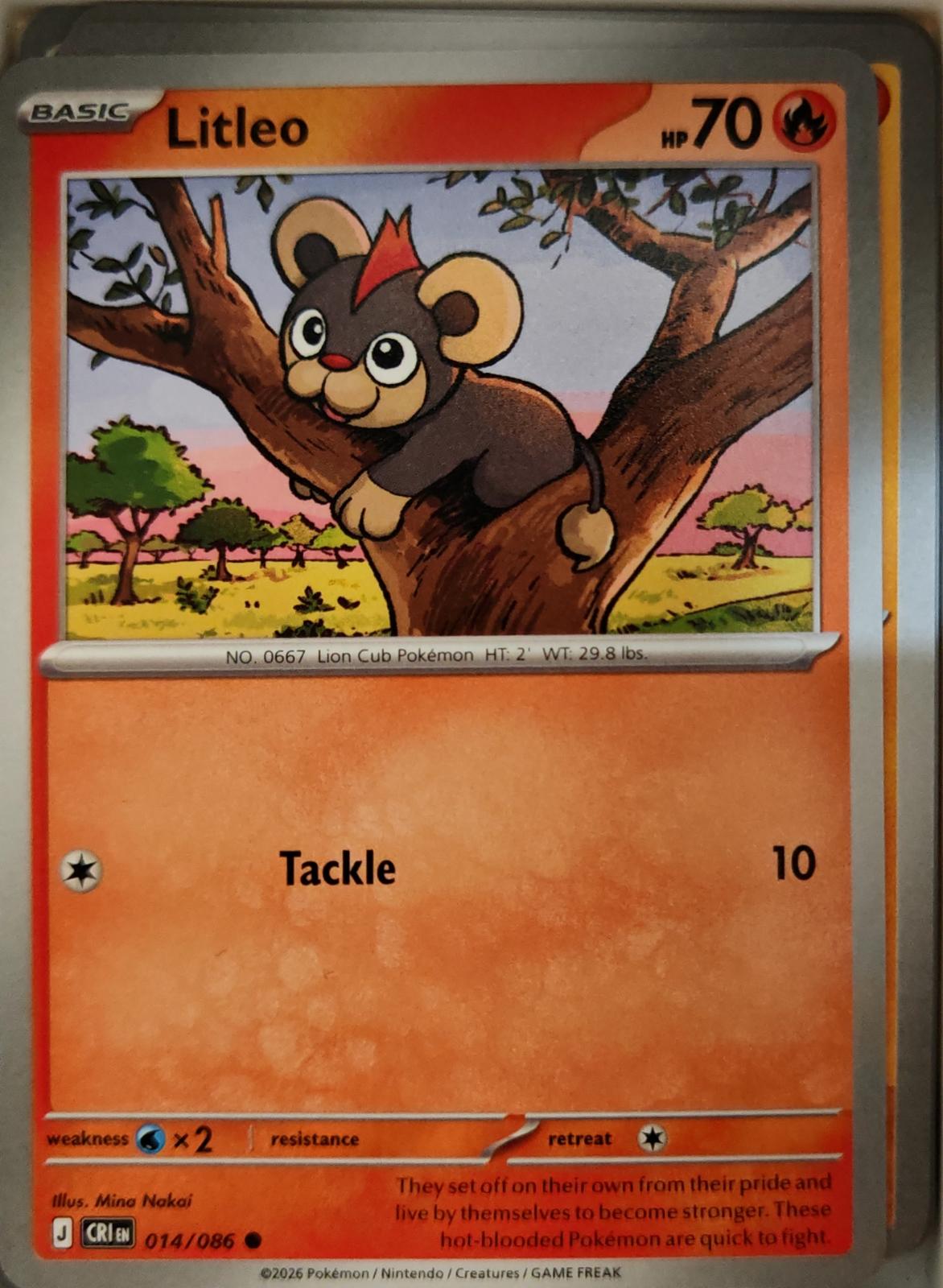 Litleo - 014/086 - - CHAOS RISING - Pokemon - Common | AA09-14