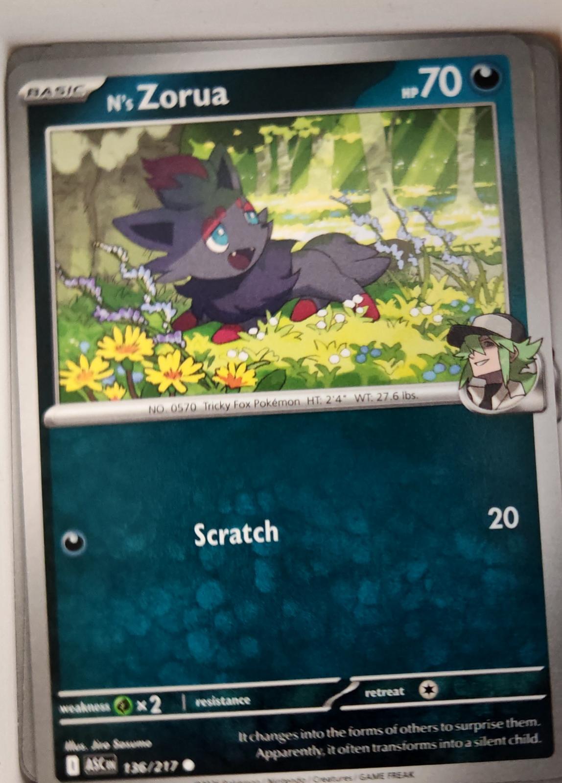 N's Zorua - 136/217 - - ASCENDED HEROES - Pokemon - Common | AA11-74
