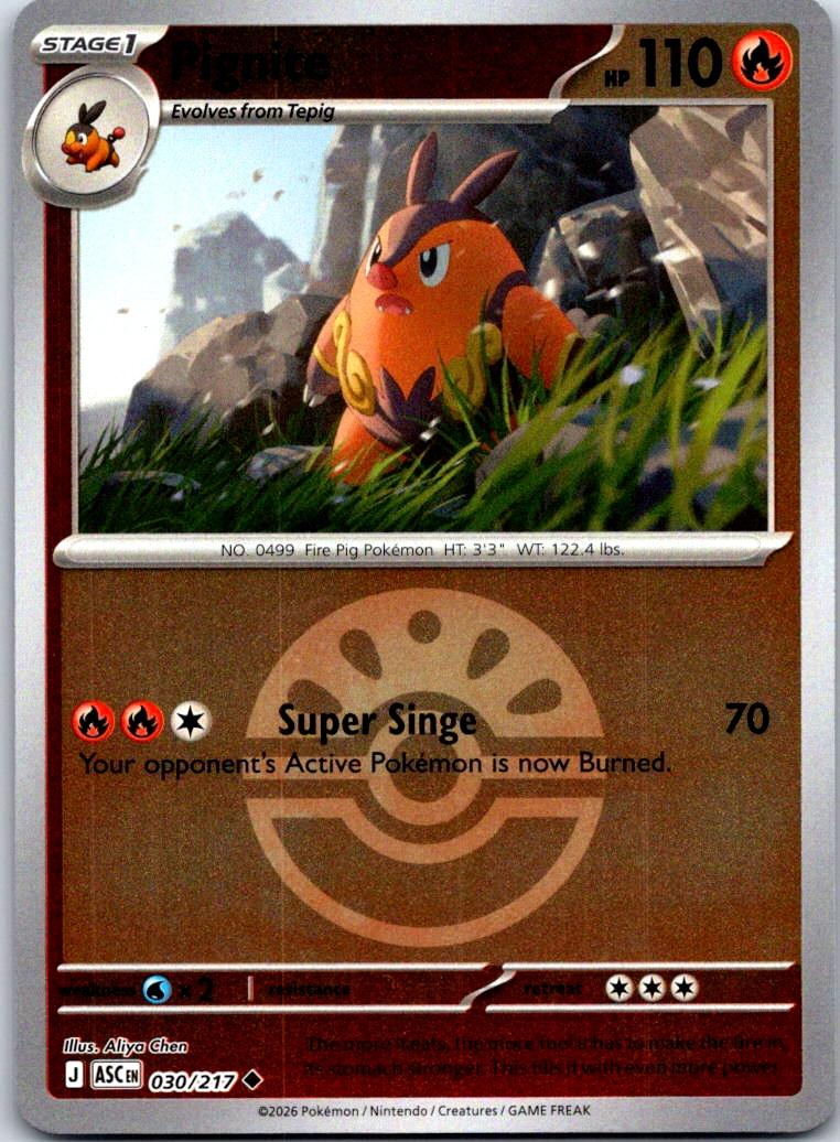 Pignite (Friend Ball) - 030/217 - Reverse Holo - ASCENDED HEROES - Pokemon - | AA119-37