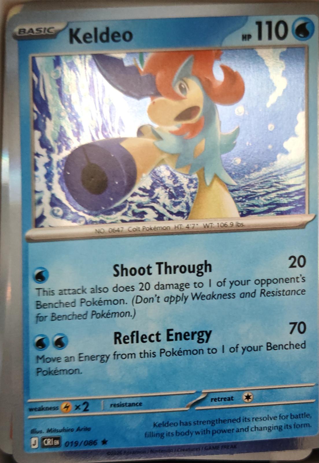 Keldeo - 019/086 - Holo - CHAOS RISING - Pokemon - Rare | AA13-68