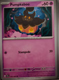 Pumpkaboo - 040/086 - - CHAOS RISING - Pokemon - Common | AA47-17