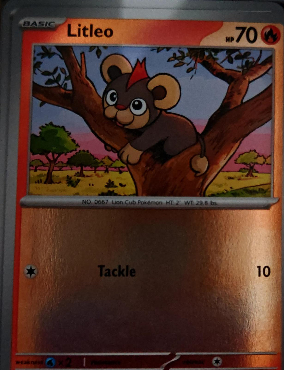 Litleo - 014/086 - Reverse Holo - CHAOS RISING - Pokemon - Common | AA63-25