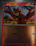 Litleo - 014/086 - Reverse Holo - CHAOS RISING - Pokemon - Common | AA63-25
