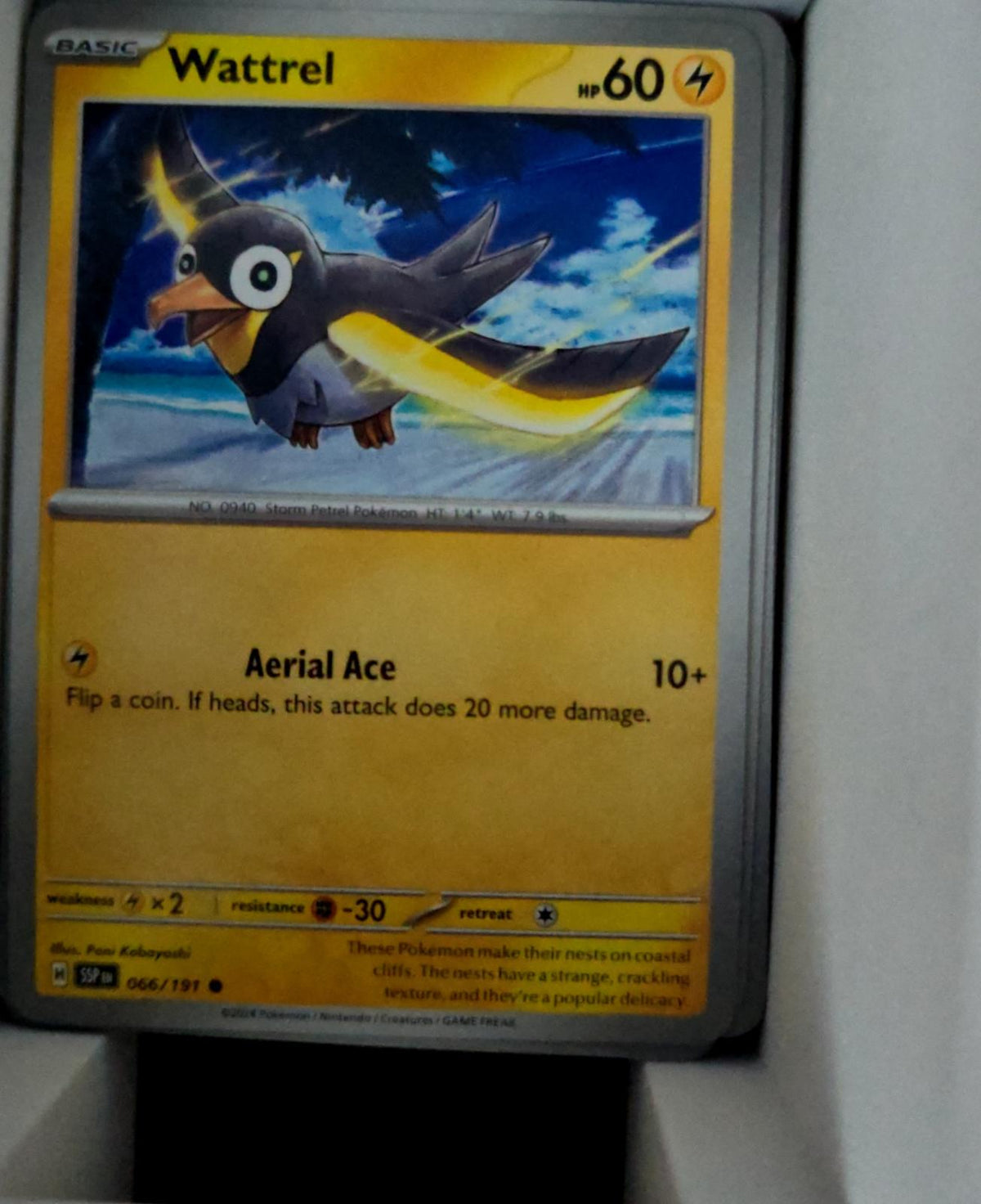 Wattrel - 066/191 - - SURGING SPARKS - Pokemon - Common | AA48-44
