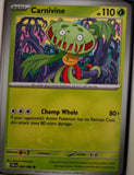 Carnivine - 004/086 - - CHAOS RISING - Pokemon - Common | AA42-27