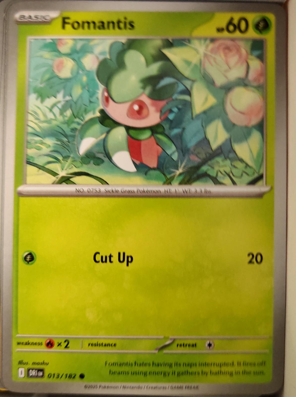 Fomantis - 013/182 - - DESTINED RIVALS - Pokemon - Common | AA38-80