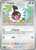 Chatot - 132/162 - - TEMPORAL FORCES - Pokemon - Common | AA21-99