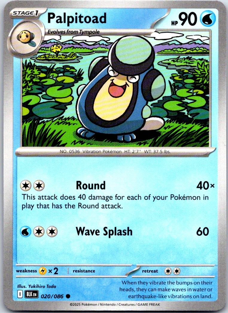 Palpitoad - 020/086 - - BLACK BOLT - Pokemon - Common | AA106-6