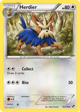 Herdier - 82/114 - - BLACK & WHITE - Pokemon - Uncommon | AA43-92