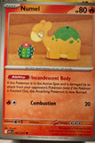 Numel - 027/217 - - ASCENDED HEROES - Pokemon - Common | AA11-79