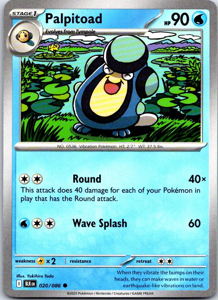 Palpitoad - 020/086 - - BLACK BOLT - Pokemon - Common | AA106-7