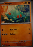 Phanpy - 044/086 - - CHAOS RISING - Pokemon - Common | AA43-11