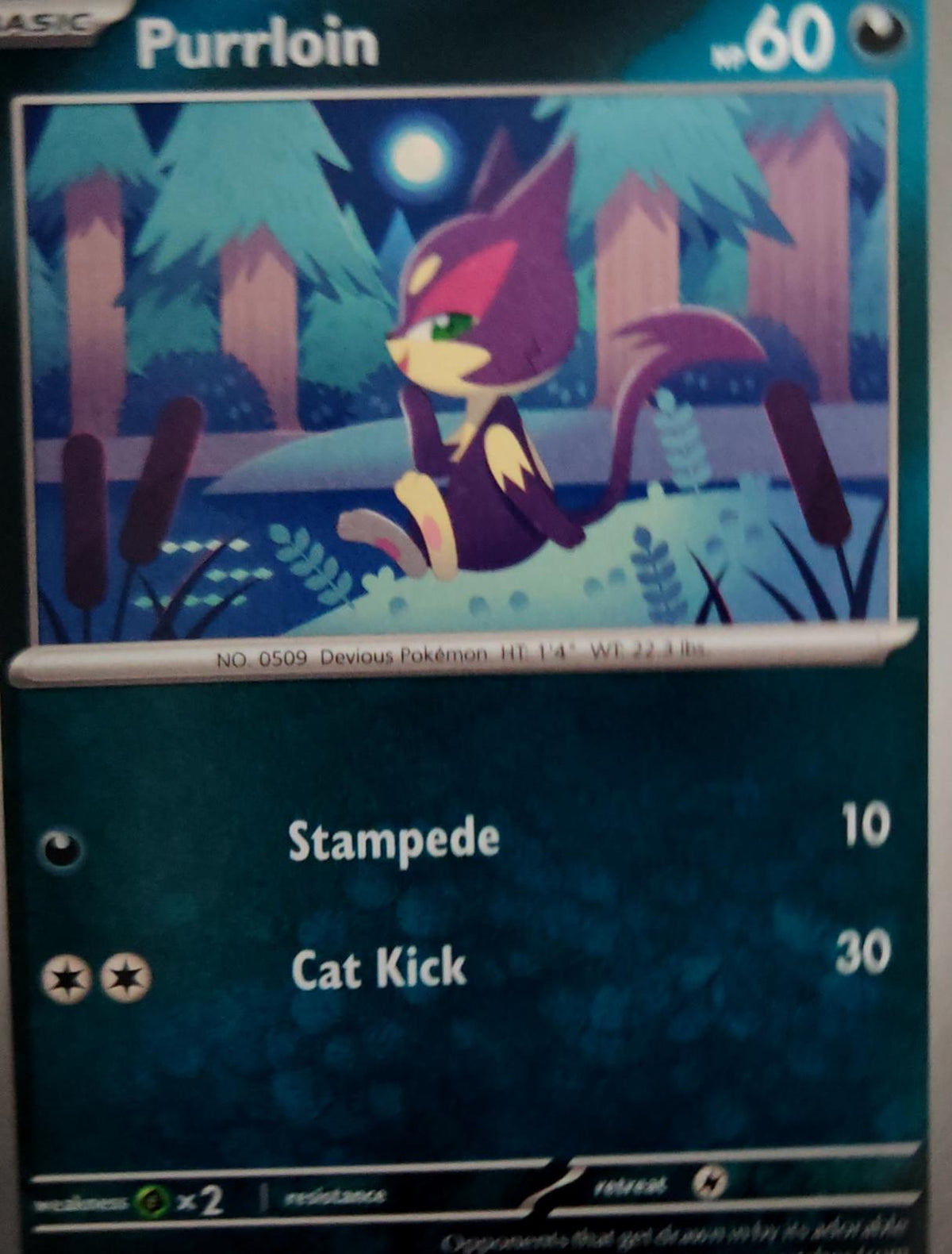 Purrloin - 114/182 - - PARADOX RIFT - Pokemon - Common | AA47-94