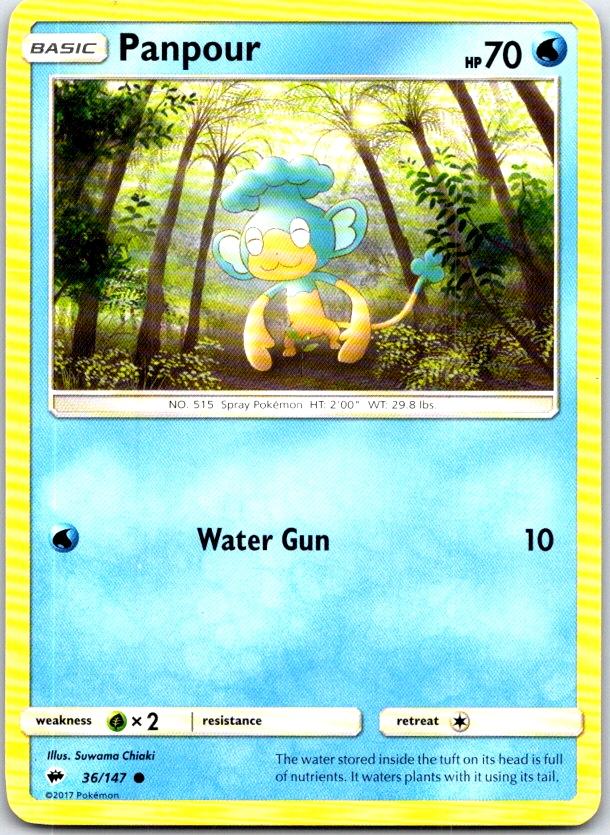 Panpour - 36/147 - - BURNING SHADOWS - Pokemon - Common | AC02-47
