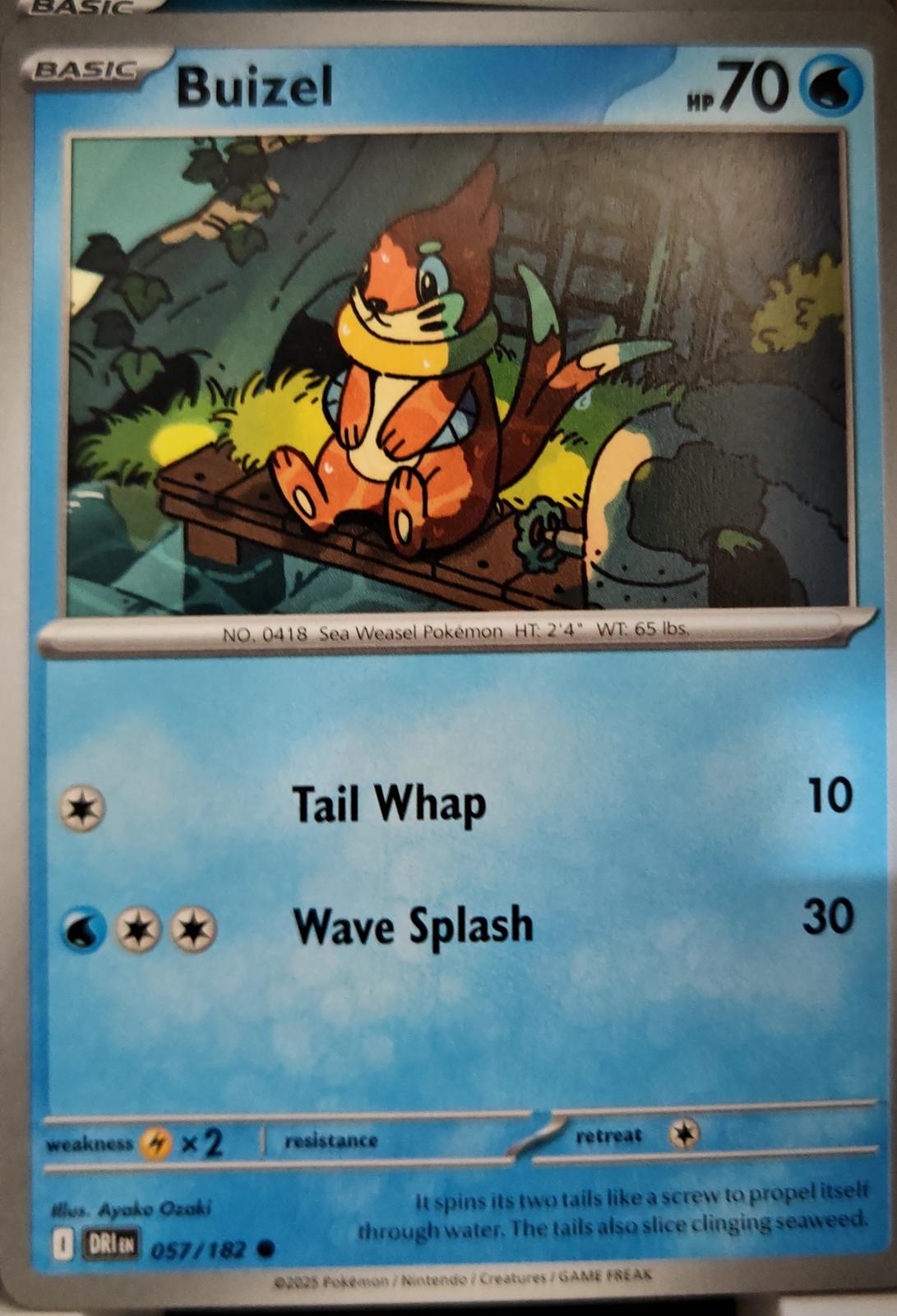 Buizel - 057/182 - - DESTINED RIVALS - Pokemon - Common | AA09-74