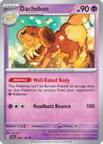 Dachsbun - 099/198 - Reverse Holo - SCARLET & VIOLET - Pokemon - | AA49-1