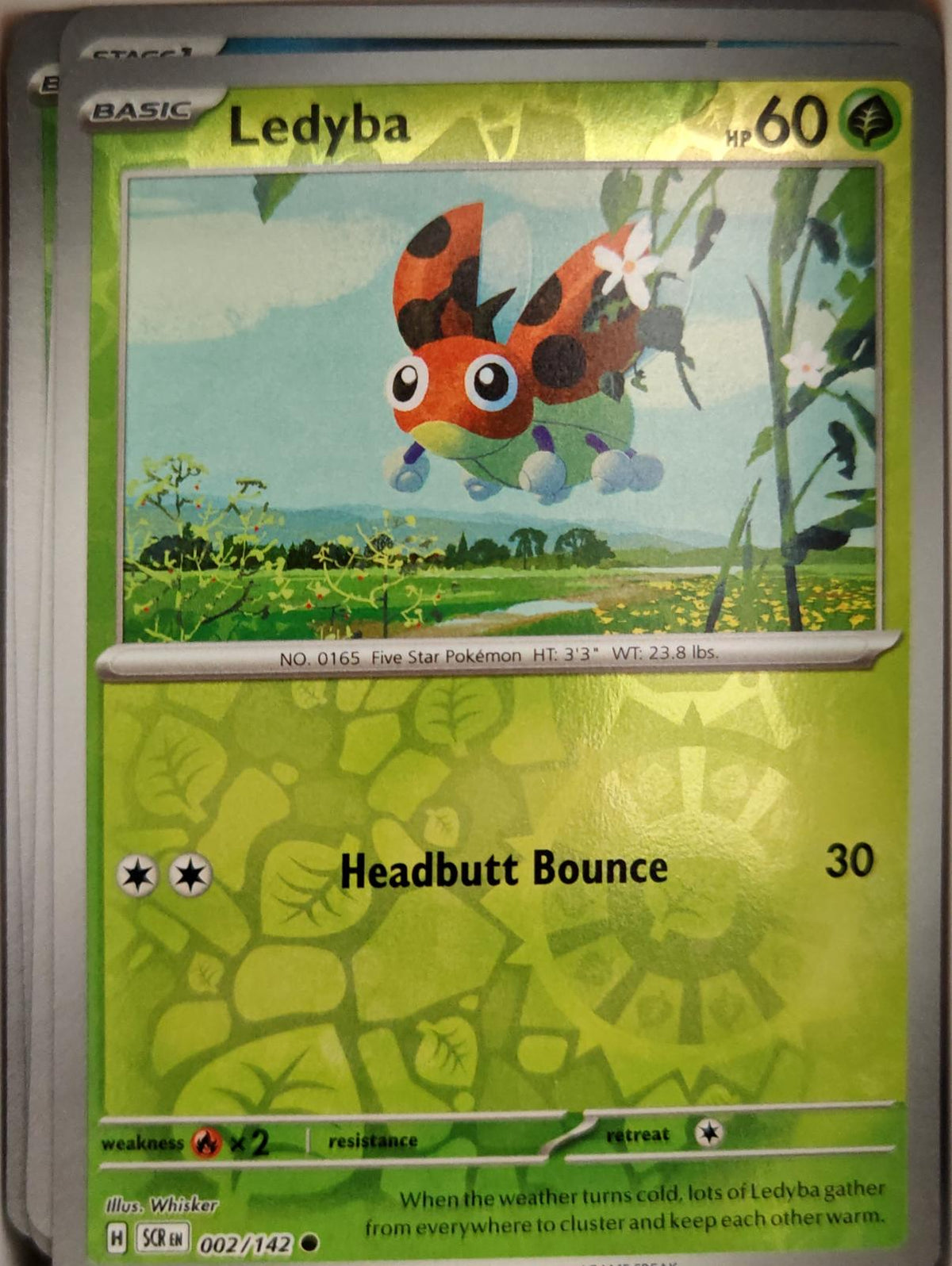 Ledyba - 2/142 - Reverse Holo - STELLAR CROWN - Pokemon - Common | AA04-62
