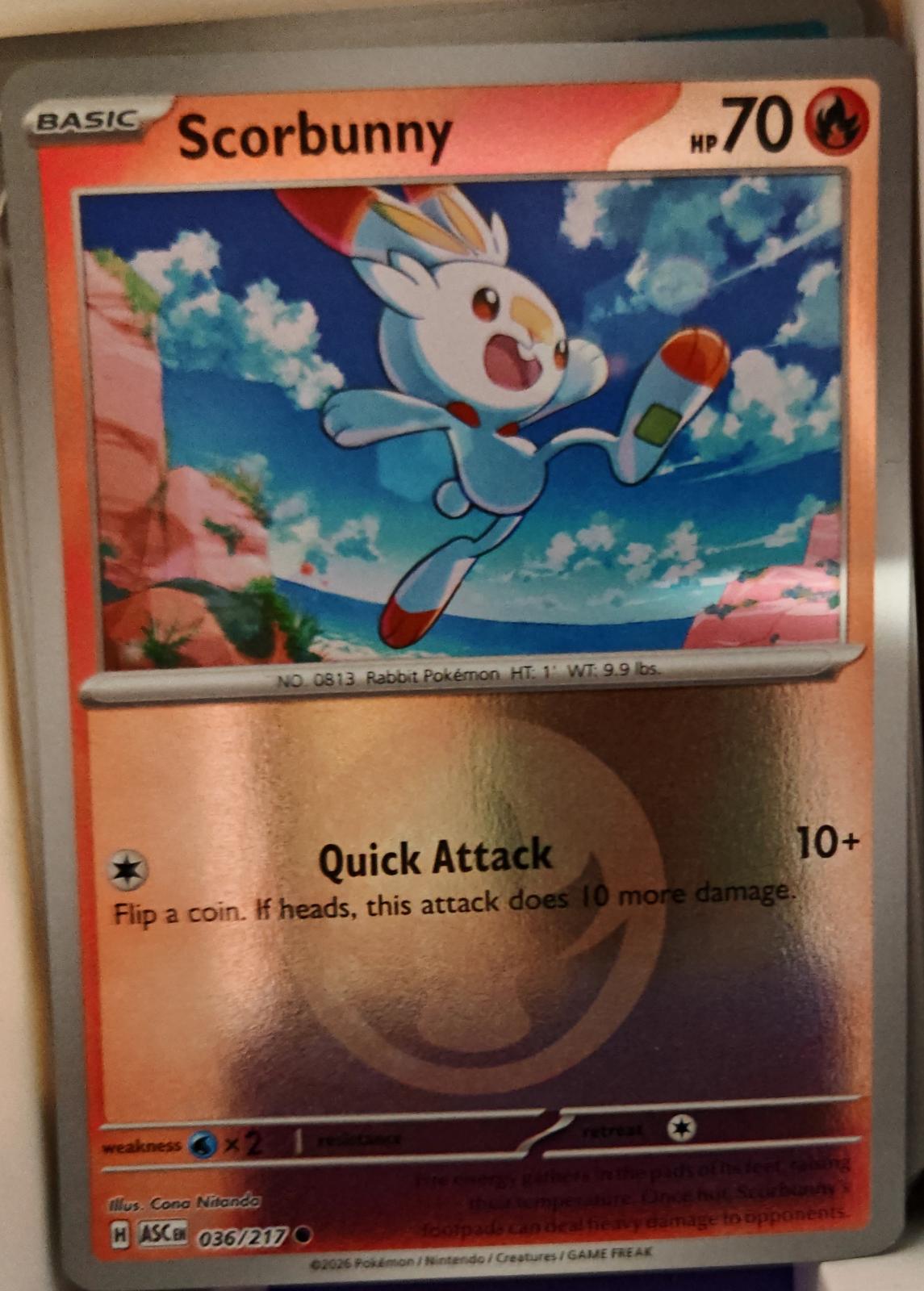 Scorbunny - 036/217 - Reverse Holo Element - ASCENDED HEROES - Pokemon - Common | AA01-53