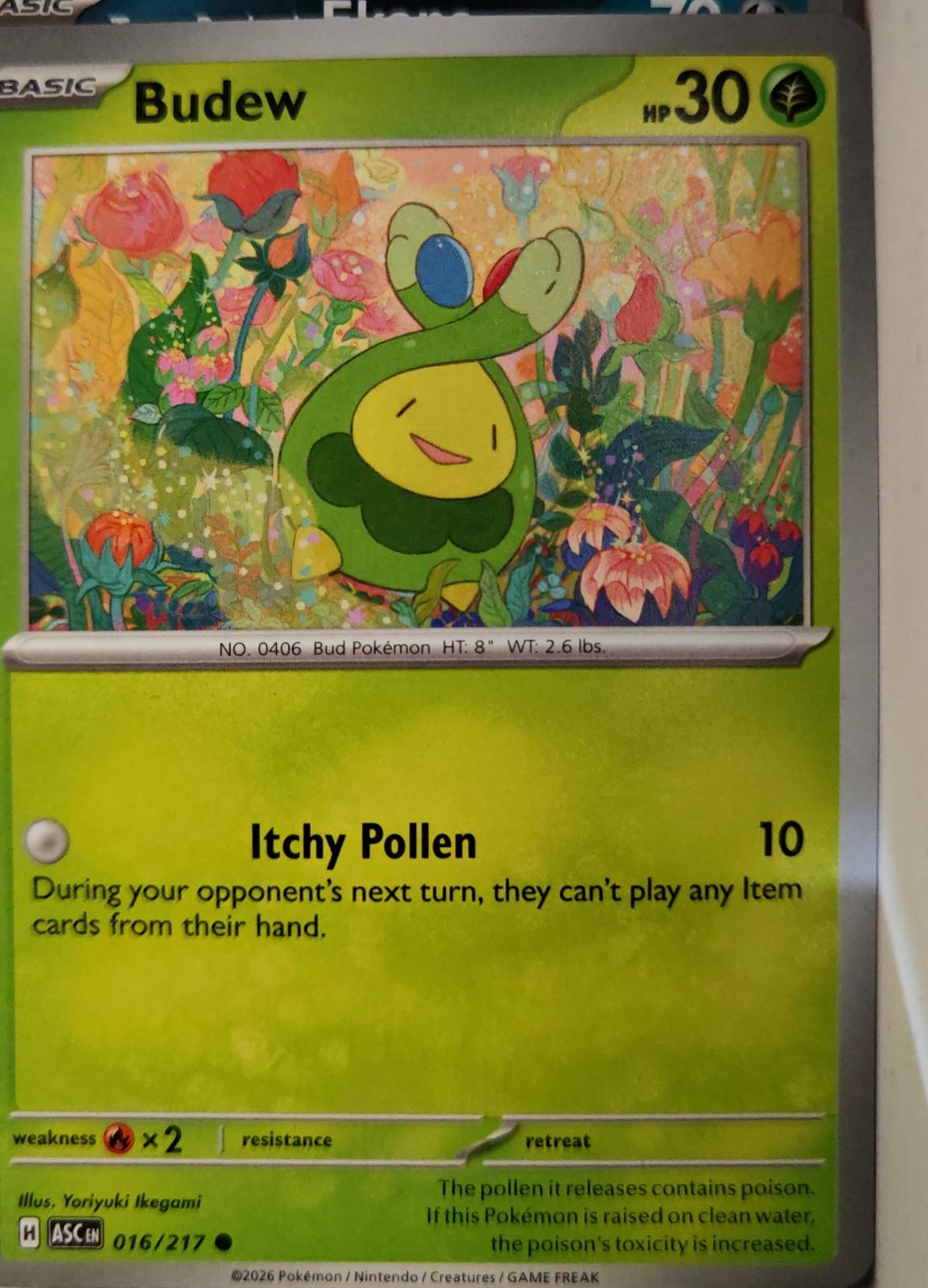 Budew - 016/217 - - ASCENDED HEROES - Pokemon - Common | AA10-51