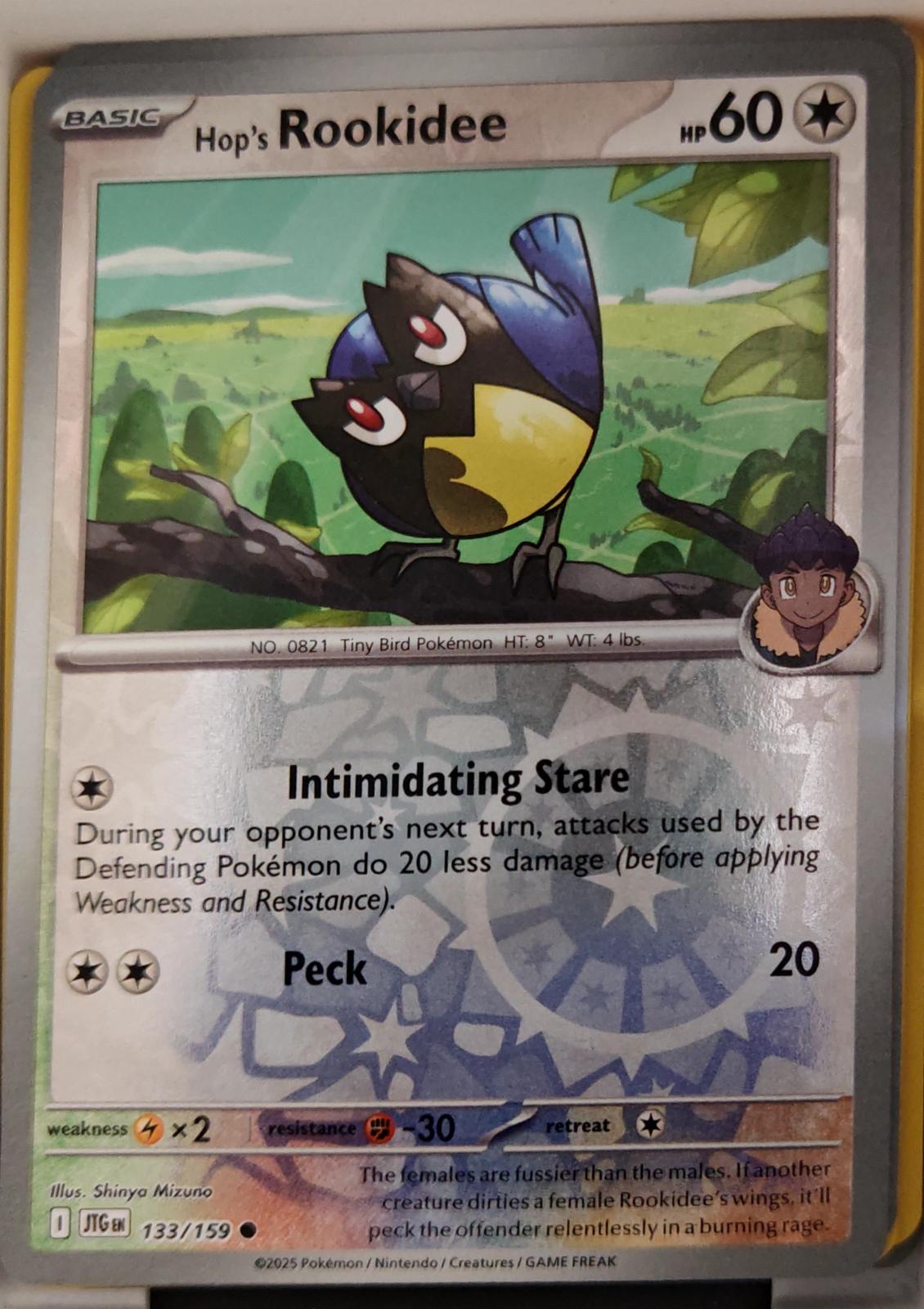 Hop's Rookidee - 133/159 - Reverse Holo - JOURNEY TOGETHER - Pokemon - | AA22-20