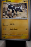 Blitzle - 062/191 - - SURGING SPARKS - Pokemon - Common | AA48-47