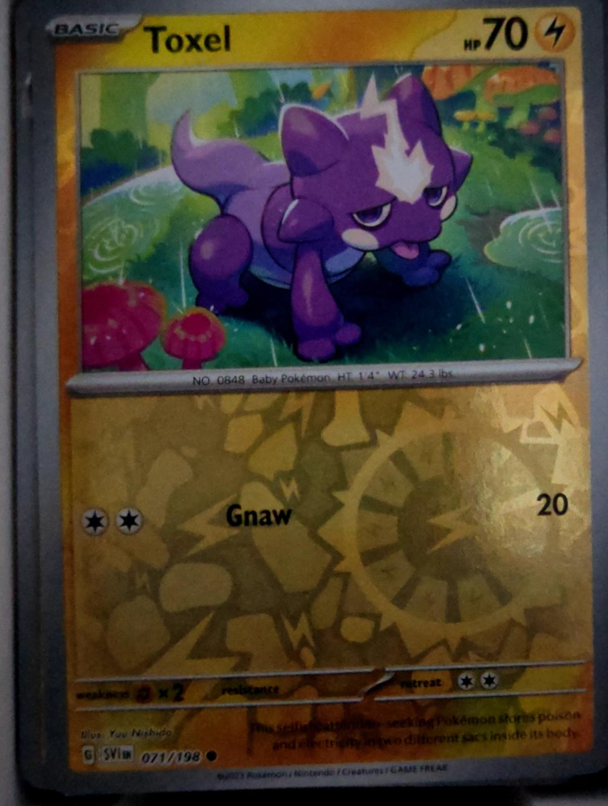 Toxel - 071/198 - Reverse Holo - SCARLET & VIOLET - Pokemon - Common | AA49-74