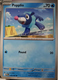 Popplio - 018/084 - - PITCH BLACK - Pokemon - Common | AA32-73