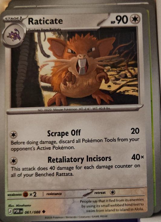 Raticate - 061/088 - - PERFECT ORDER - Pokemon - Uncommon | AA01-25