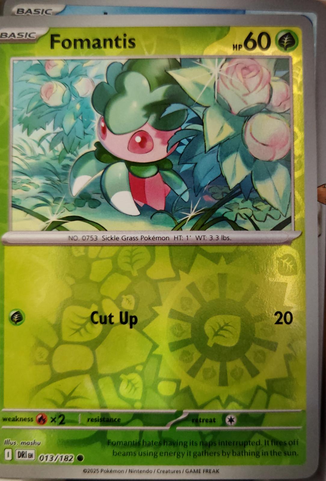 Fomantis - 013/182 - Reverse Holo - DESTINED RIVALS - Pokemon - Common | AA19-99